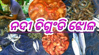 ଆଜି ଘରେ ପୁରା ଅଲଗା ପ୍ରକାର ର ନଦୀ ଚିଗୁଂଡି ଝୋଳ#parwancurry#riverparwan@rashmitasmartcooking9034