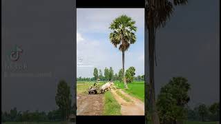 অরজিনাল গ্রামের প্রাকৃতিক