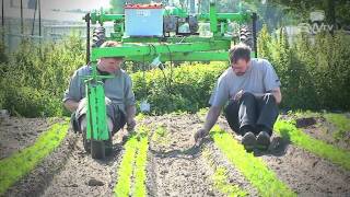biogroenten - Waregem - West-Vlaanderen