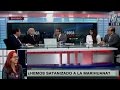 Debate sobre el uso medicinal de la marihuana: testimonio de Juana Olazábal