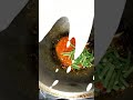 Sambal Kapjel #shortsvideo #cooking #fypシ゚viral #food #fypシ゚viral #fyp  #masakansimple #enak