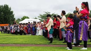 大東YOSAKOI恋・来い連「菅原組」 雫石YOSAKOI 2017