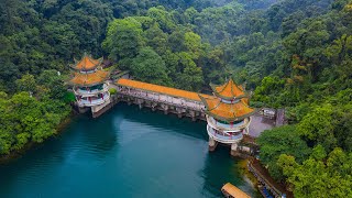 Documenting China’s Modernization EP23: China's First Nature Reserve, 1956