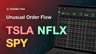 Tracking Unusual Options Order Flow - TSLA, NFLX, SPY