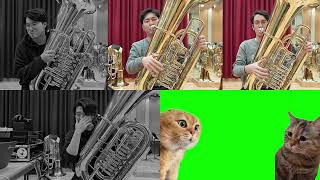 「猫ミーム」チューバで演奏してみた