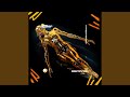 DIE TRYING (HYPERTECHNO)