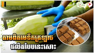 តាមពិតមេទឹកត្រឡាច ផលិតបែបនេះសោះ | កម្មវិធីកសិកម្ម