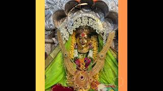 Aai ekvira Devi today's pooja darshan 11/1/25 #shorts #trending #youtubeshorts #youtube #yt #ekvira