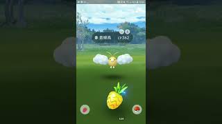 抓到了一隻色違青綿鳥（Pokemon go）[學渣日常]