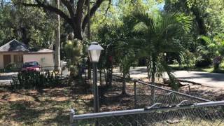FT MYERS CASA SU TATTOOED MONKEY