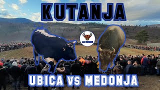 MEDONJA vs UBICA (borba za šampiona Balkana)29.12.2022Kutanja