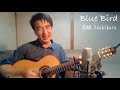 【オリジナル】blue bird 芳晴（よしはる） yoshiharu【ギター弾き語り】