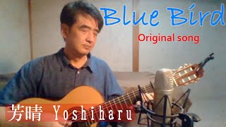 【オリジナル】Blue Bird  / 芳晴（よしはる） Yoshiharu【ギター弾き語り】