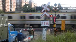 [平交道/踏切]台鐵1193次EMU800型區間車通過(內壢南方平交道)