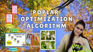 Poplar Optimization Algorithm || Step-By-Step || ~xRay Pixy