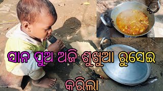 ସାନ ପୁଅ ଅଜି ଶୁଖୁଆ ରୁସେଇ କରିଲା 🤷 Daily Odia vlogs village couple