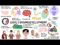 Early Brain Development