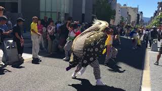 獅子団大和 バサラ祭2018 春日参道(上三条)パレード