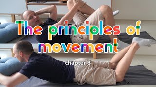 Principles Of Movement: 3 - Pattern harmonisation