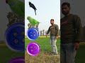 rotating button to crow tota owl u0026pigeon magical vfx video trending youtubeshorts viralshorts