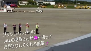 夏休み後半③ プッシュバック中にJALの職員さんたちがピンクのお花をもって見送ってくれる