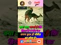 deer के 5 shocking secrets you won t believe