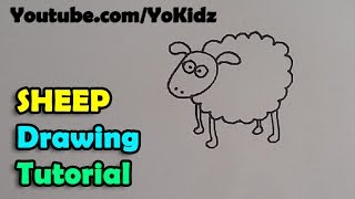 How to draw a Cartoon Sheep for kids easy and simple