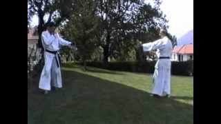 BudokaiKan 1997 - Randori Irimi