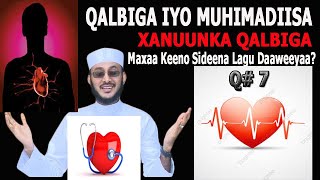 XANUUNKA QALBIGA MAXAA KEENO ** QALBIGA \u0026 MUHIMADIIS** (Q 7):::: DR AHMED AL-YAMAANI