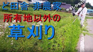 所有地じゃなくても刈る！ど田舎で非農家が草刈り。