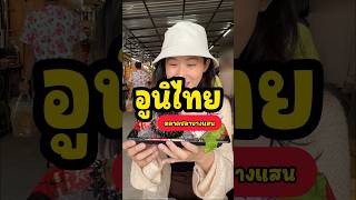 อูนิไทย รสชาติเป็นยังไงมาบอกกัน #อูนิ #อูนิไทย #food #ของอร่อย #ของกิน #บางแสน #ตลาดปลาบางแสน