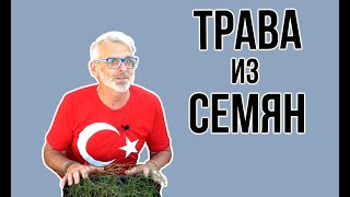 Размножение декоративных трав семенами / Игорь Билевич