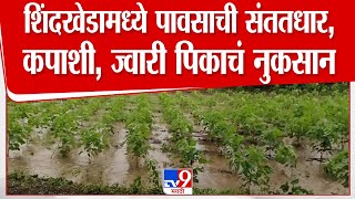 Dhule Rain Issue | शिंदखेडामध्ये पावसाची संततधार; कपाशी, ज्वारी पिकाचं नुकसान