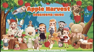 ♡Blythe Art Show♡『Apple Harvest』at Junie Moon Daikanyama　#blythe #ブライス #カスタムブライス