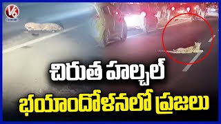 Tiger Hulchul In Nizamabad ,People Panic | V6 News