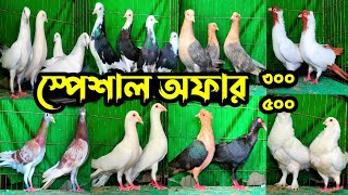 সবচেয়ে কমদামে স্পেশাল অফারে ৩০০ পিস ৫০০ জোড়া কবুতর কিনুন | কবুতরের ফেরিওয়ালা | Pigeon market |