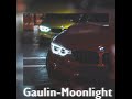 Gaulin - Moonlight (Slowed and Reverb)