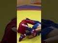 Sambo Calf Slicer  |  Sambo Nation