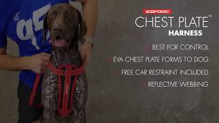 How to Fit a Dog Harness - EzyDog Chest Plate Harness