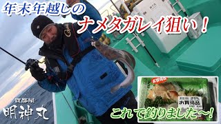 年末高級魚のナメタガレイを？？で狙え！