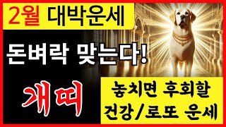 [2월 개띠 대박 운세] 1946년생 1958년생 1970년생 1982년생 1994년생 ㅣ건강 대박나고 돈복 터지는 개띠 2월 대박운세 #재물운 #건강운 #개띠운세 #로또운세