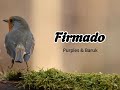 Firmado - Purples & Baruk (lyrics)