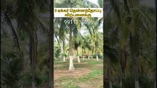 வெறும் காடு வாங்கும் விலைக்கே தென்னந்தோப்பு 🏡🌴| 9911110896 #coconutfarmlands #lowbudget  #sale