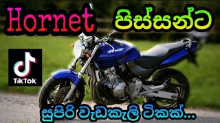 Honda Hornet Stunt \u0026 Burnout || Tik tok || Sri Lanka