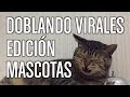 Doblando Virales 15 - Edición Mascotas