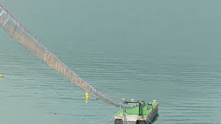 The Salmon Cannon’ sorts and shoots fish over a dam