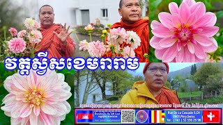 មើលផ្ការីកផង ដើរមកពីផ្សារផង ជូនដំណឹងថ្ងៃបុណ្យកឋិនទាននៅវត្តស្វីសខេមរារាម ផង