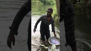 ഉടക്ക് വലയിൽ മീൻ പിടിച്ചാലോ #fishing #youtubeshorts #shorts