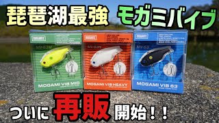 あのモガミバイブがリニューアルして発売！全国の釣具店に並びます！キャベツがデカバス釣りまくった琵琶湖オカッパリ最強バイブレーションついに再販！改めてモガミバイブインプレッション【琵琶湖バス釣り】