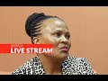 Mkhwebane impeachment inquiry continues